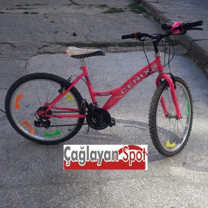 Cenix Pembe Çocuk Bisikleti