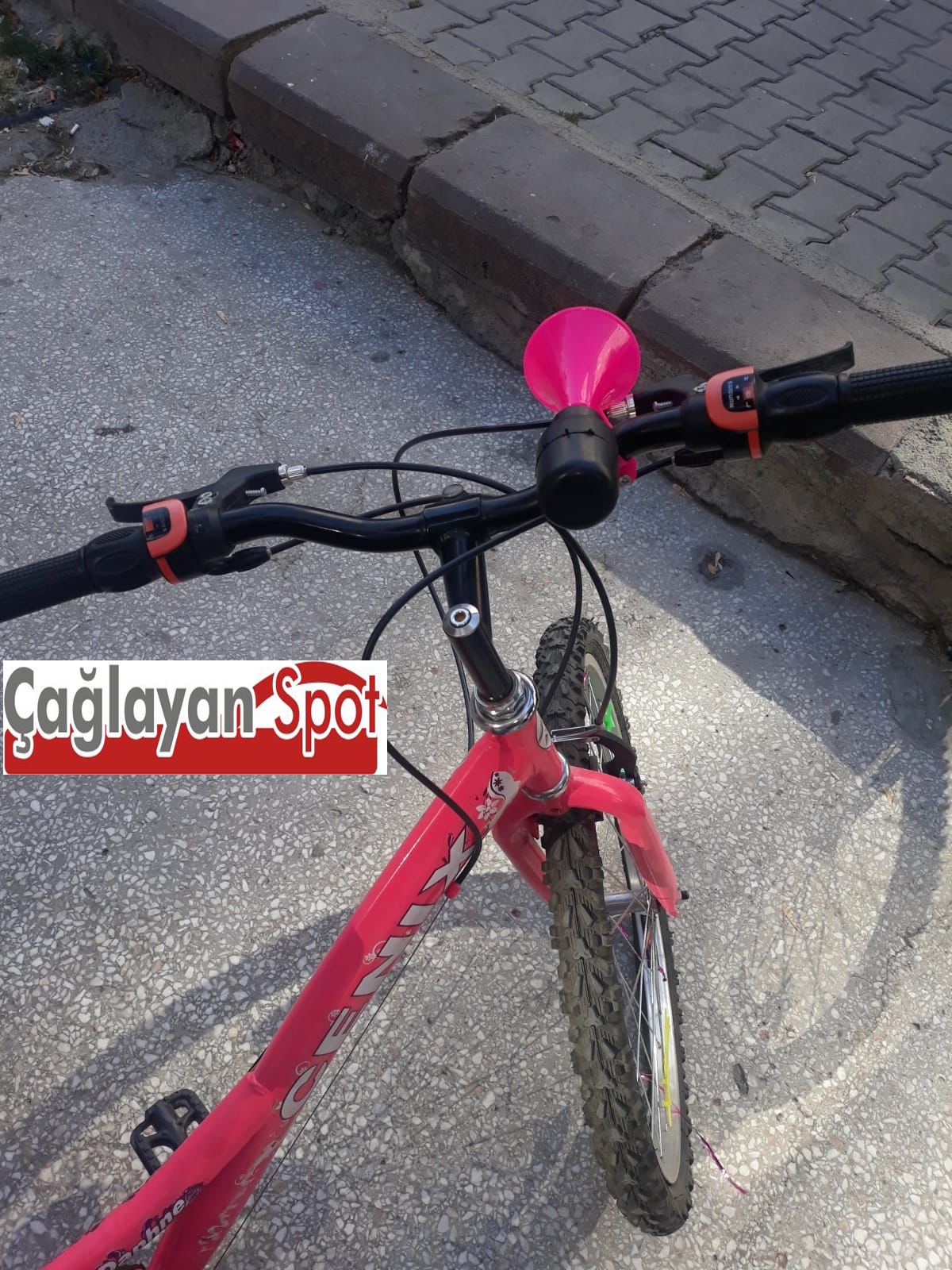 Cenix Pembe Bisiklet 3 Cenix Pembe Çocuk Bisikleti